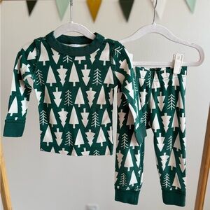 HANNA ANDERSSON | Winter Green Pajama Set (2-Piece Set)